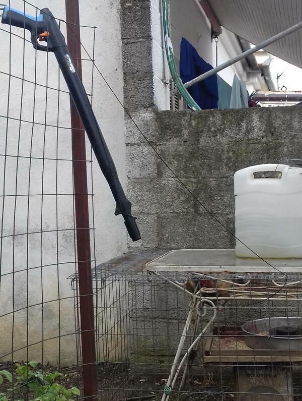 Άντρας στην Καρδίτσα παγίδευσε γάτα σε κλουβί και την χτύπησε με ψαροντούφεκο