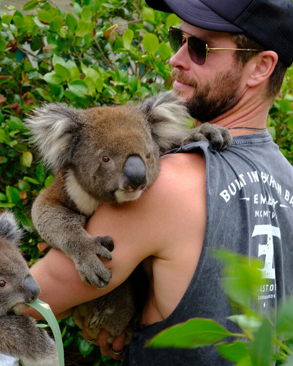 O Chris Hemsworth πήγε ταξίδι με τα παιδιά του, κολύμπησε με δελφίνια κι αγκάλιασε φίδια και κοάλα