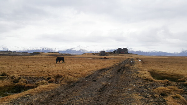 H άγρια ομορφιά της Ισλανδίας μέσα από τα μάτια ενός Έλληνα ταξιδιώτη