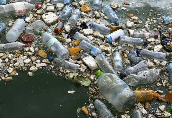 Θαλάσσια είδη σχηματίζουν αποικίες και ζουν σε συγκεντρωμένα πλαστικά σκουπίδια στον ωκεανό - Έρευνα 