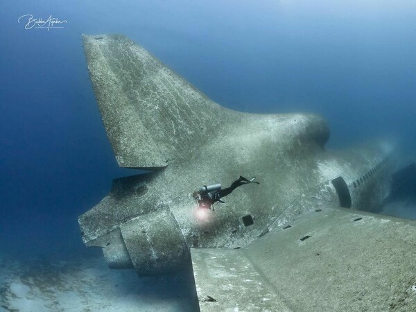 Το κουφάρι ενός παλιού αεροσκάφους στον ακανόνιστο βυθό της Ερυθράς Θάλασσας - Πόλος έλξης για τουρίστες και θαλάσσια ζωή 