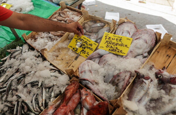 Τουρκία: Τέσσερις στους δέκα δεν βάζουν κρέας ή ψάρι στο τραπέζι - Γιατί αυξήθηκαν τα επιτόκια
