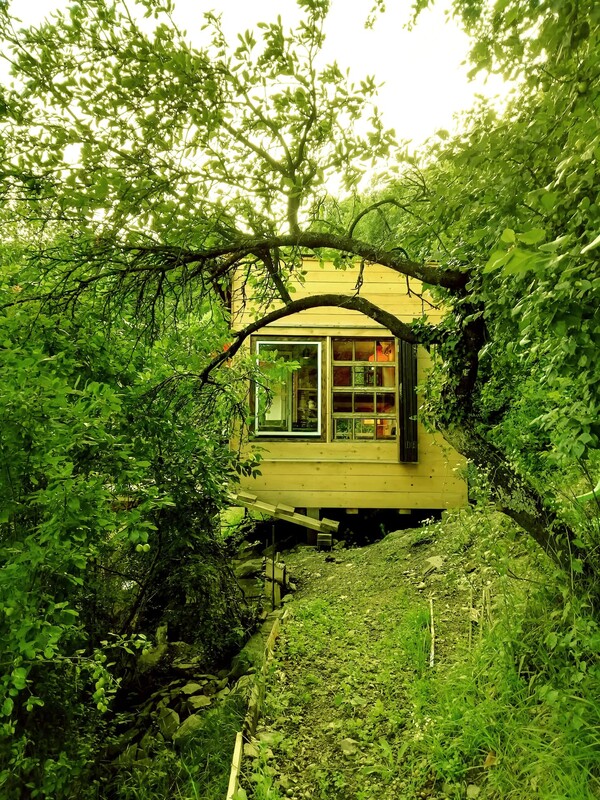 Μένοντας σε ένα σπίτι μέσα στο δάσος της Σλοβενίας χωρίς ίντερνετ και μπάνιο
