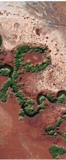 Ημέρα της Γης 2024: Με δορυφορικές εικόνες του πλανήτη το doodle της Google
