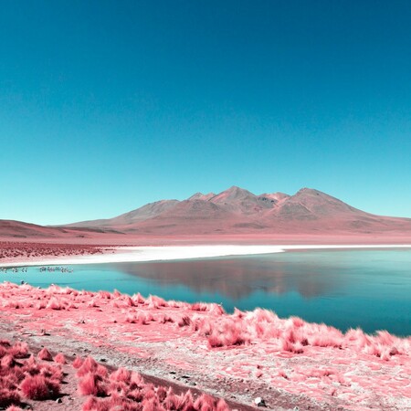 Φωτογραφίζοντας τις ροζ αποχρώσεις της Βολιβίας