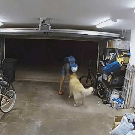 Burglar takes break from robbing home to cozy up with overly friendly family dog: ‘I love you, too’