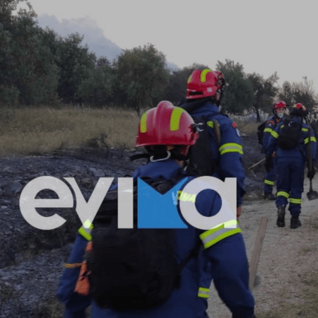 Εντοπίστηκαν ανθρώπινα μέλη σε χωριό στην Εύβοια- Πού εστιάζουν οι έρευνες