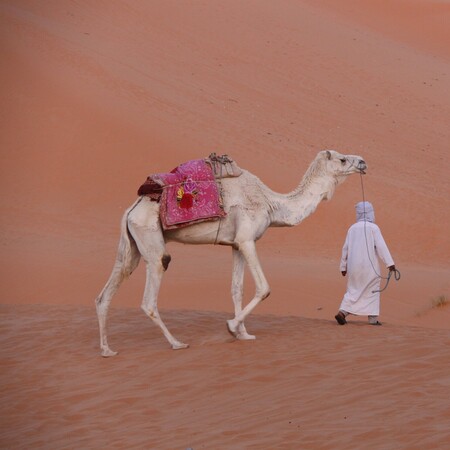 Ταξίδι στην απέραντη έρημο της Αλγερινής Σαχάρας