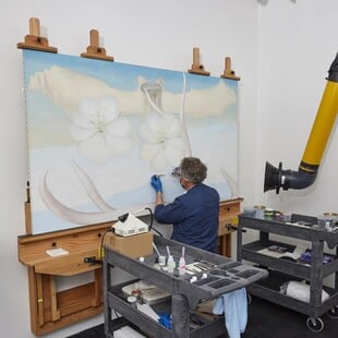 Ταραντούλα κατέστρεψε πίνακα της Georgia O’Keeffe και χρειάστηκαν 1.250 ώρες αποκατάστασης