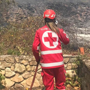 Το TikTok έδωσε 200.000 ευρώ στον Ελληνικό Ερυθρό Σταυρό για την ενίσχυση των πυρόπληκτων